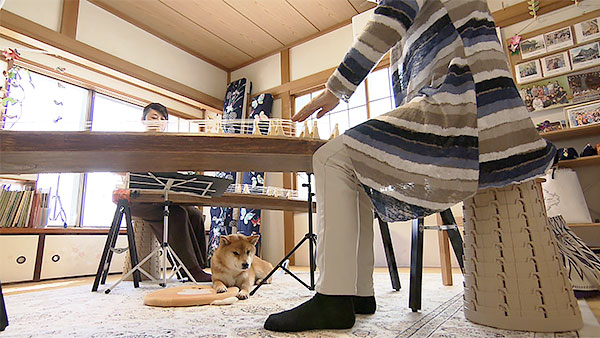 もも きょうのわんこ 写真3
