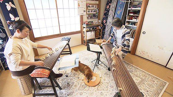 もも きょうのわんこ 写真5