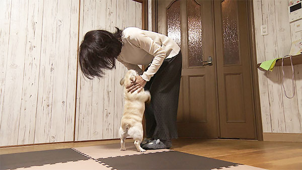 まあこ きょうのわんこ 写真2
