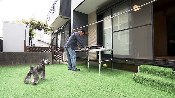 Lua きょうのわんこ 写真2