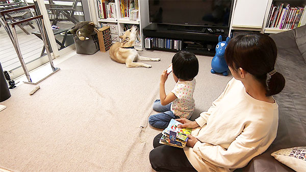 サスケ きょうのわんこ 写真5