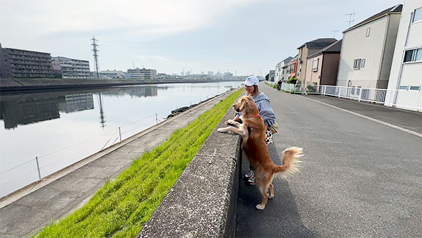 らら きょうのわんこ 写真2