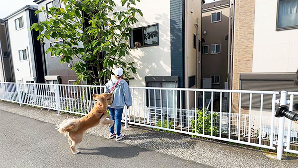 らら きょうのわんこ 写真4