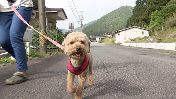 雲丹 きょうのわんこ 写真1
