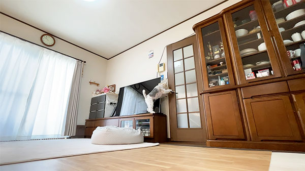 フラン きょうのわんこ 写真4