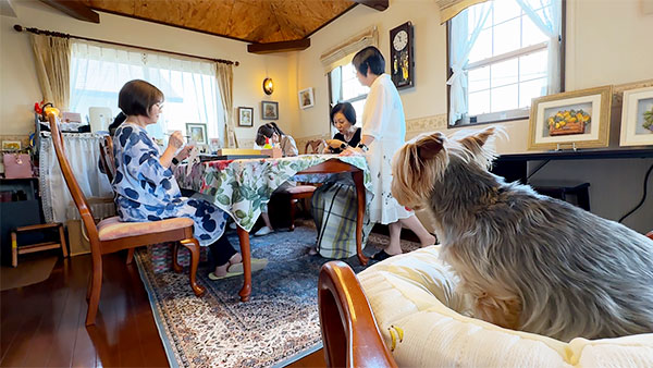 グレイス きょうのわんこ 写真3