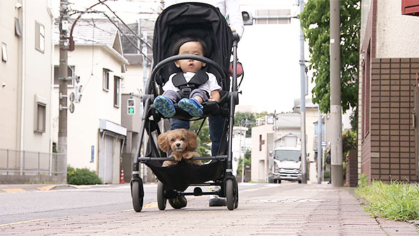 ティティ きょうのわんこ 写真5
