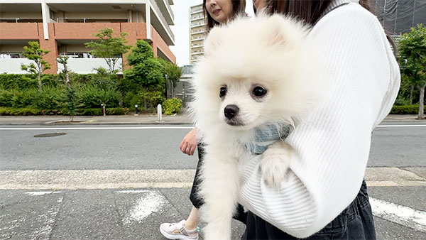むぅ きょうのわんこ 写真4