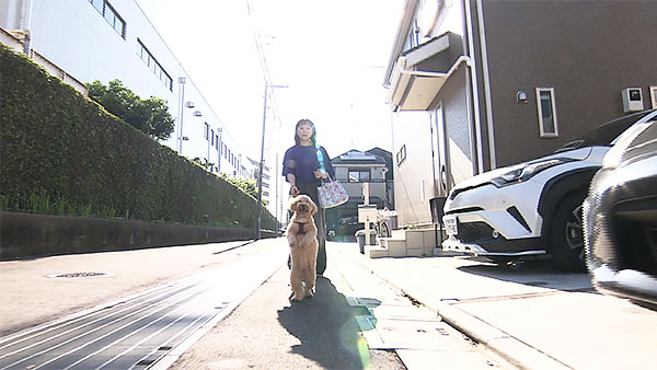 クル きょうのわんこ 写真2