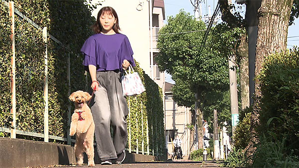 クル きょうのわんこ 写真6