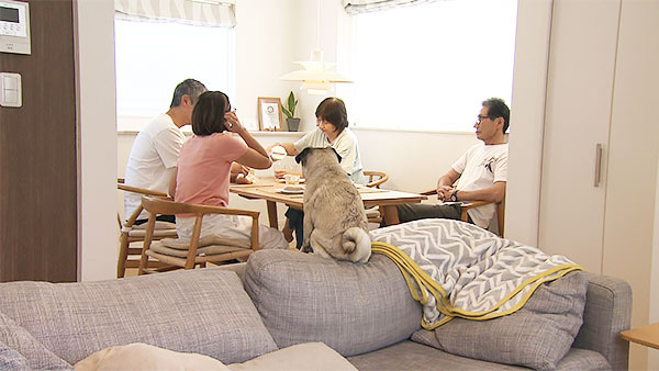 どな きょうのわんこ 写真2