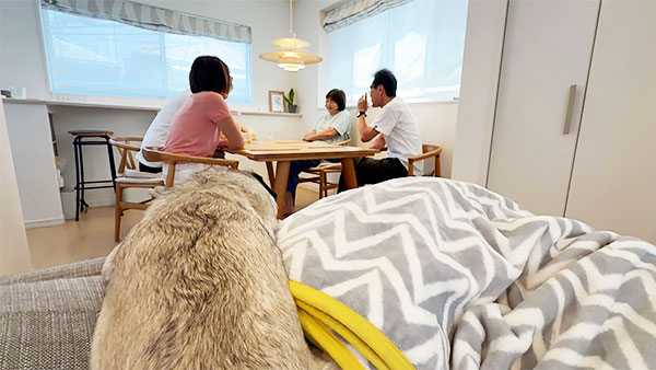 どな きょうのわんこ 写真4
