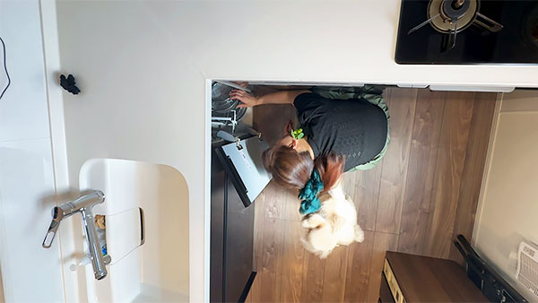 いろは きょうのわんこ 写真3