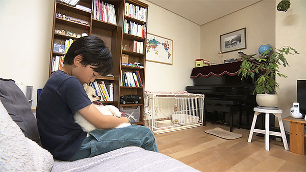 ポミ きょうのわんこ 写真2