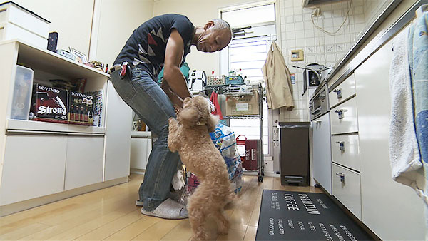 ピピ きょうのわんこ 写真2