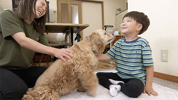 ほたて きょうのわんこ 写真2