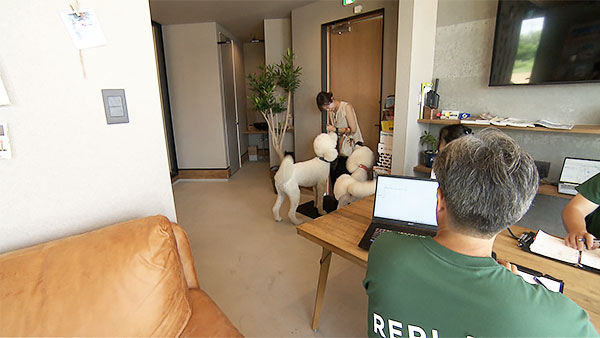 リズ きょうのわんこ 写真3