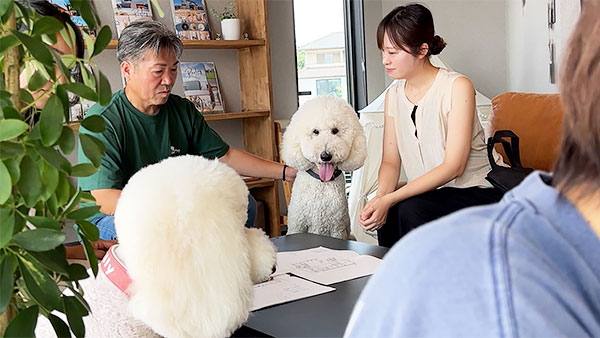 リズ きょうのわんこ 写真4