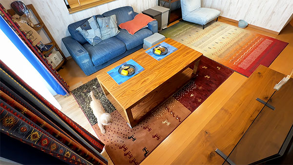 ミルク きょうのわんこ 写真2