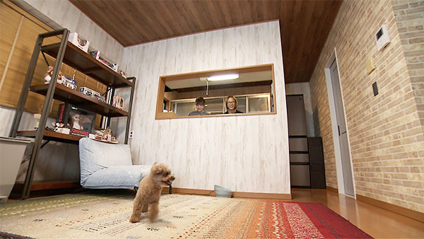 ミルク きょうのわんこ 写真3