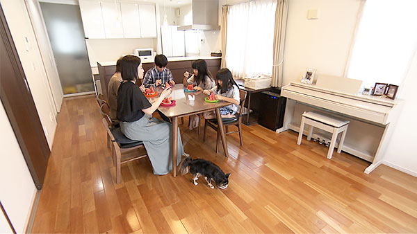 あお きょうのわんこ 写真5