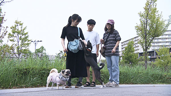ペニー きょうのわんこ 写真5