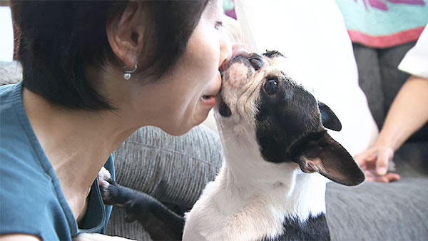 ピリナ きょうのわんこ 写真3