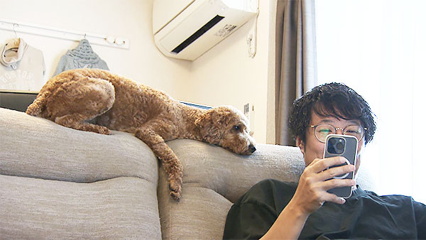 てんてん きょうのわんこ 写真2