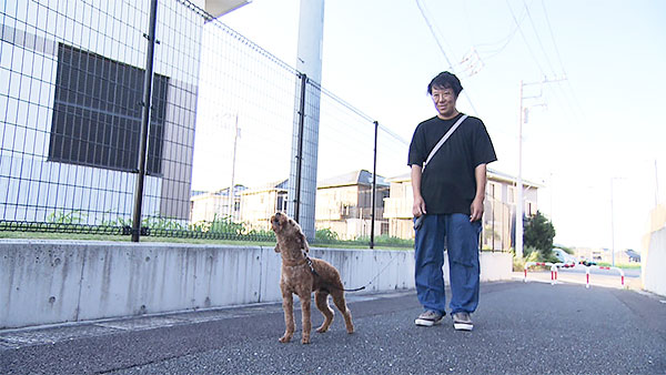 てんてん きょうのわんこ 写真6