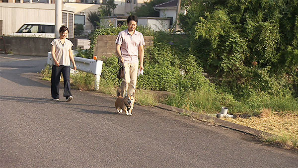 のぶ きょうのわんこ 写真6