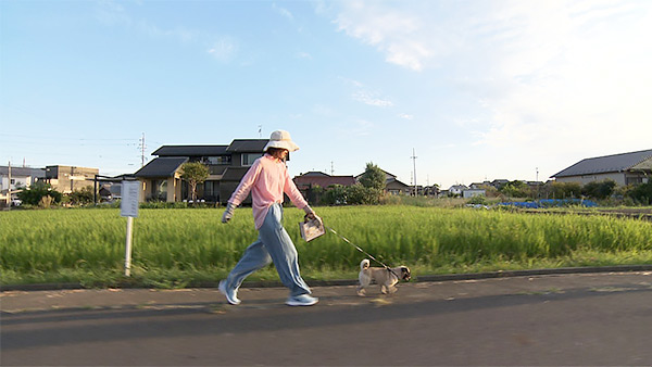 ポコ きょうのわんこ 写真2