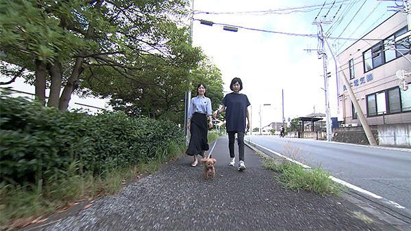 ステラ きょうのわんこ 写真2