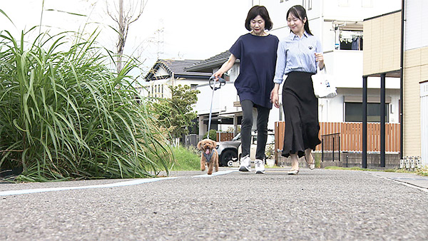 ステラ きょうのわんこ 写真5