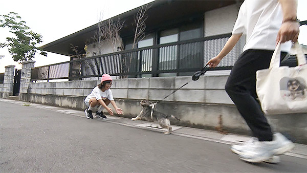 はな きょうのわんこ 写真2