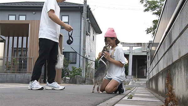 はな きょうのわんこ 写真4