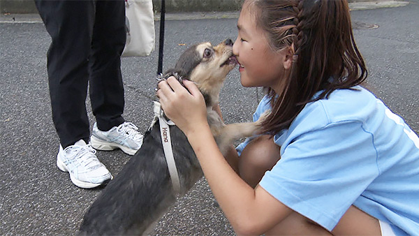 はな きょうのわんこ 写真5