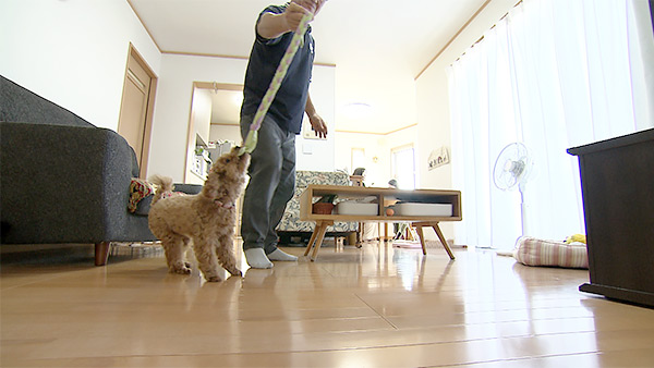 ララ きょうのわんこ 写真2