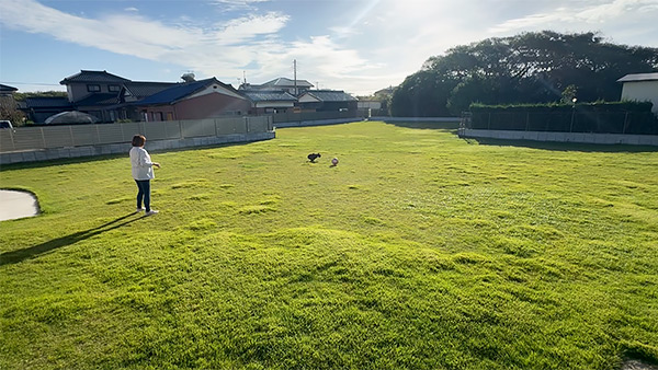 健賢 きょうのわんこ 写真5
