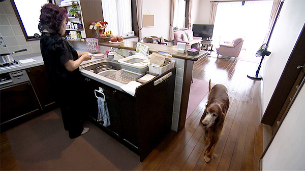 りー きょうのわんこ 写真2