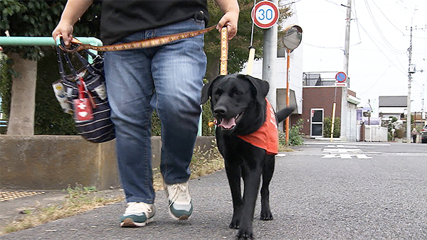 たのん きょうのわんこ 写真2