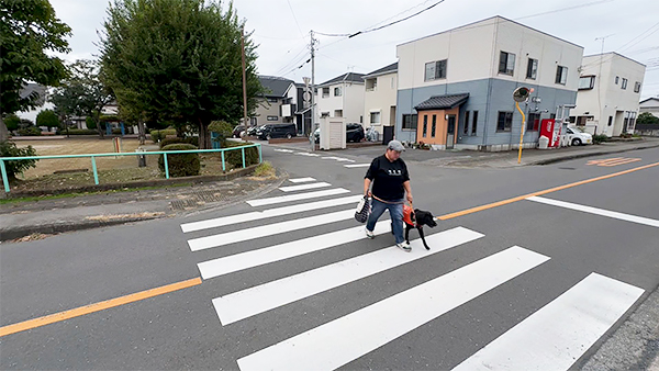 たのん きょうのわんこ 写真5