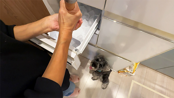 角煮 きょうのわんこ 写真3