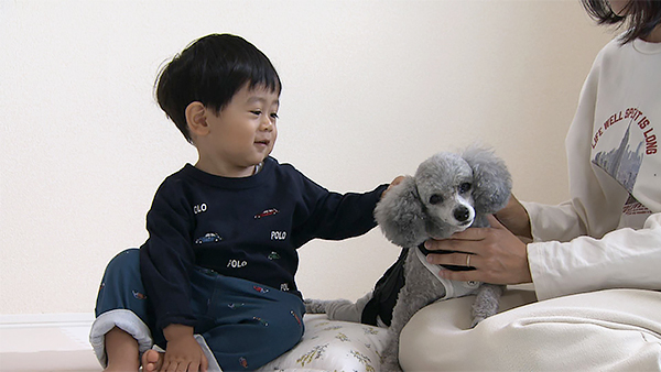 リン きょうのわんこ 写真2