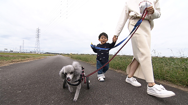 リン きょうのわんこ 写真3
