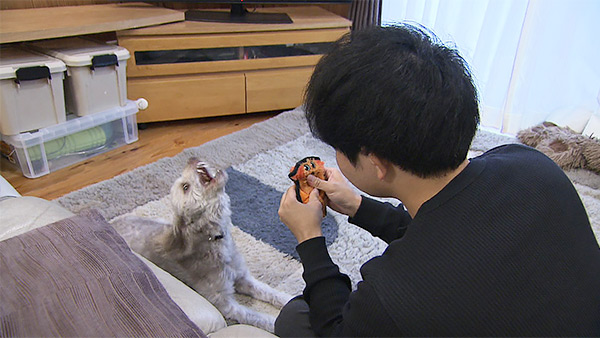 かかお きょうのわんこ 写真3