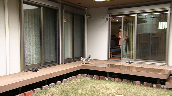 ぽんず きょうのわんこ 写真2