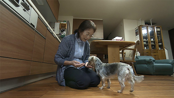 ぽんず きょうのわんこ 写真5