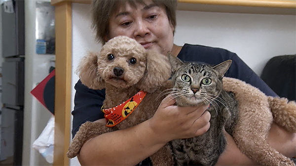 さくら きょうのわんこ 写真3