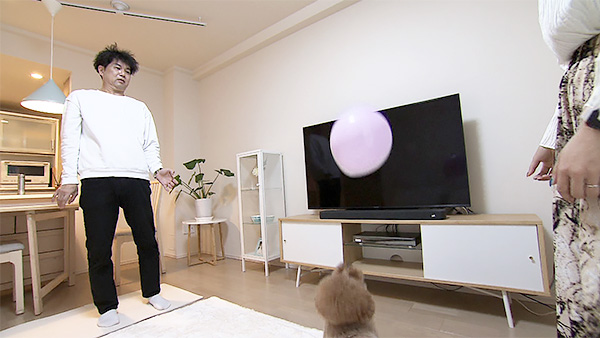 そら きょうのわんこ 写真3