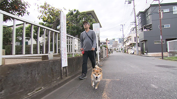 茶茶 きょうのわんこ 写真2
